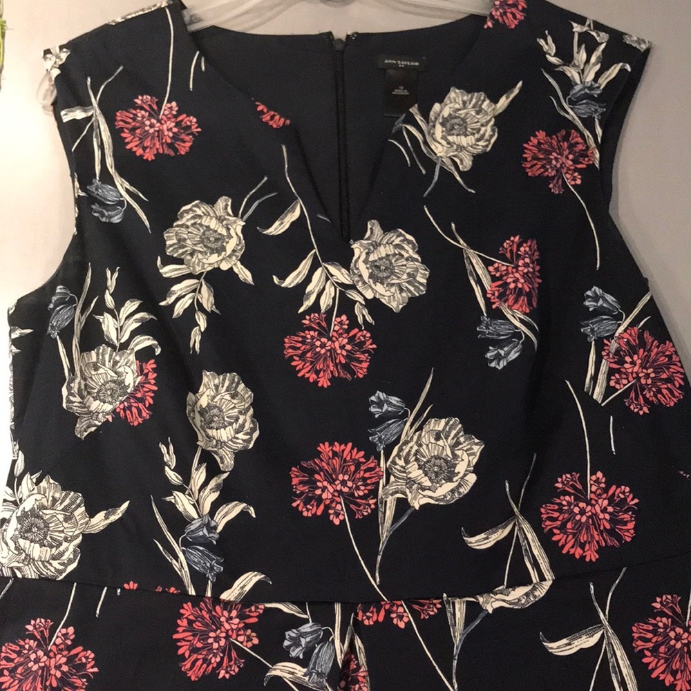 Ann Taylor Sz 12 Dress